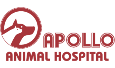 Apollo Animal Hospital-HeaderLogo